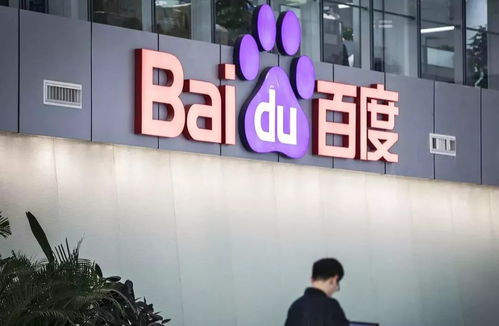 蜘蛛池外链建设规划及执行指南